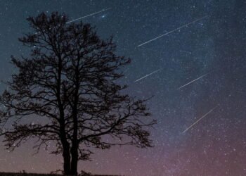 Saiba como observar a chuva de meteoros líridas que vai atingir a Terra