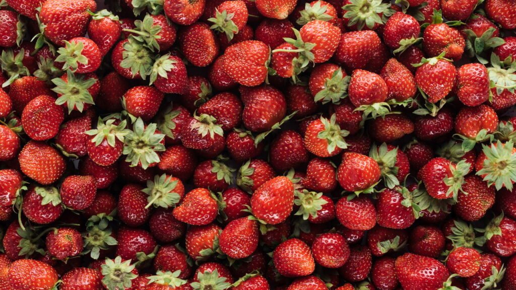 Guia Prático para Cultivar Morangos na Varanda"