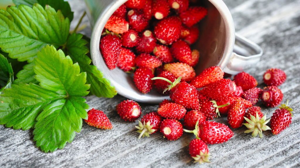 Você nunca mais vai comprar morangos depois de aprender isso