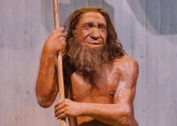Por que os neandertais eram tão fortes? Descubra os segredo