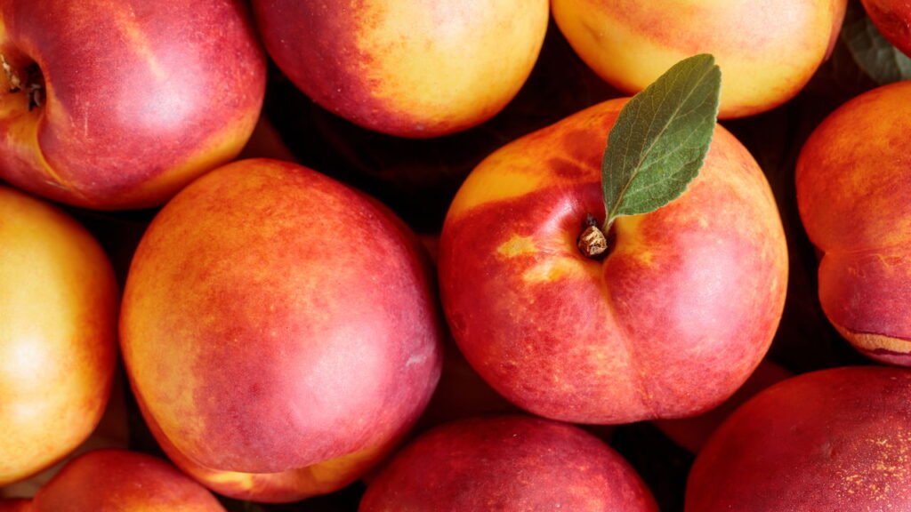 Guia completo para cultivar nectarina em casa