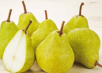 Aprenda a cultivar uma fruta que é rica em fibras e vitamina C