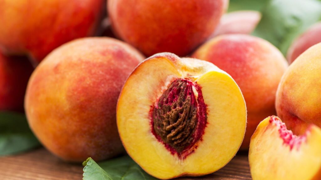 Veja como cuidar do pessegueiro para ter frutas doces e sem doenças