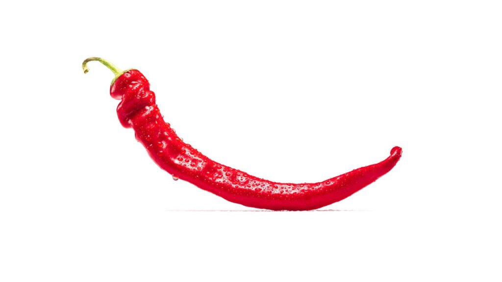 Como Cultivar a Pimenta Jalapeño BRS Sarakura com Sucesso