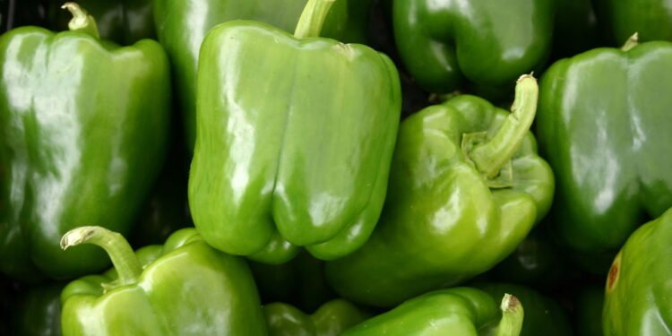 Pimentão verde - Créditos: depositphotos.com / chrisbradshaw