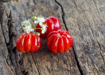 Como cuidar e plantar pitanga no seu jardim?