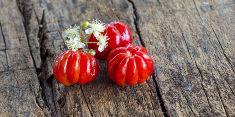 Como cuidar e plantar pitanga no seu jardim?