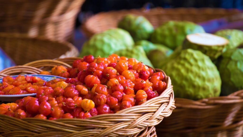 Veja como plantar pitanga e colher frutas em pouco tempo