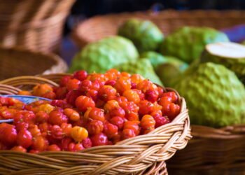 Veja como plantar pitanga e colher frutas em pouco tempo