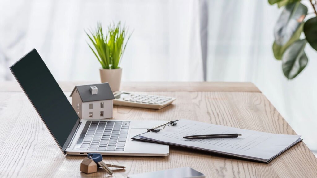 Ter essa planta em casa melhora o seu humor e aumenta a concentração