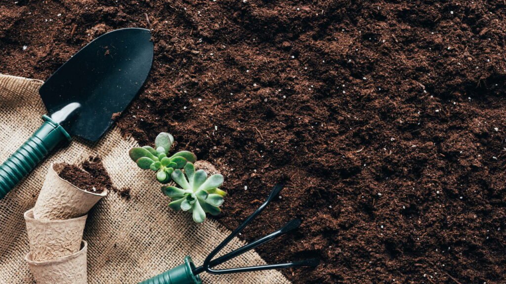 Como Acompanhar o Crescimento das Tuias Holandesas em Casa
