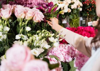 Como manter flores em vaso saudáveis durante o ano todo