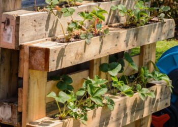 Aprenda a fazer uma horta com paletes em casa passo a passo