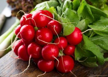 Aprenda a plantar rabanete e colher em poucos dias