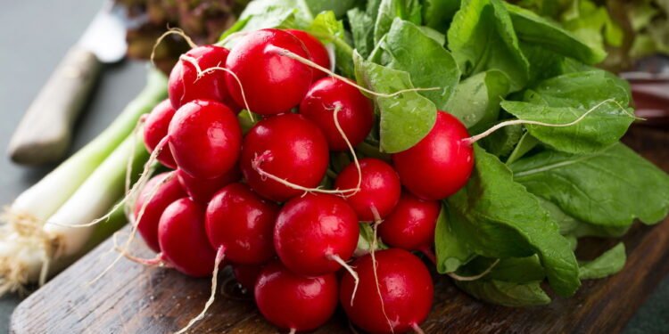 Aprenda a plantar rabanete e colher em poucos dias