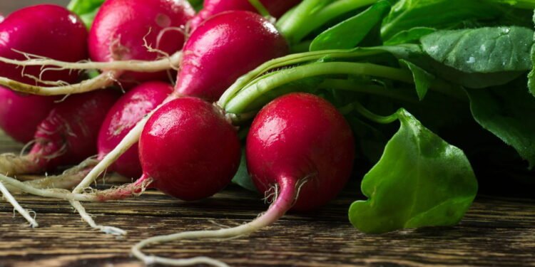 Aprenda a plantar rabanete e colher em poucos dias