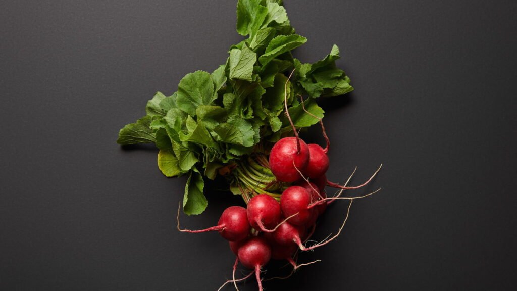 Saiba como plantar rabanete e os cuidados necessários do plantio