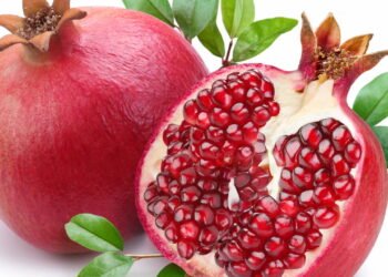 Como cuidar de uma romãzeira e fazer ela produzir muitos frutos