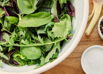 Como colher e armazenar rúcula para manter o frescor por mais tempo