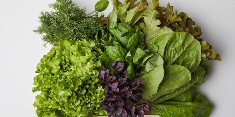 Como plantar rúcula em garrafa pet passo a passo