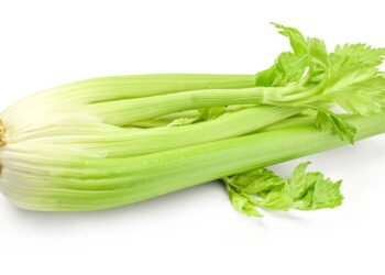 Como ter salsão fresquinho e crocante na sua horta