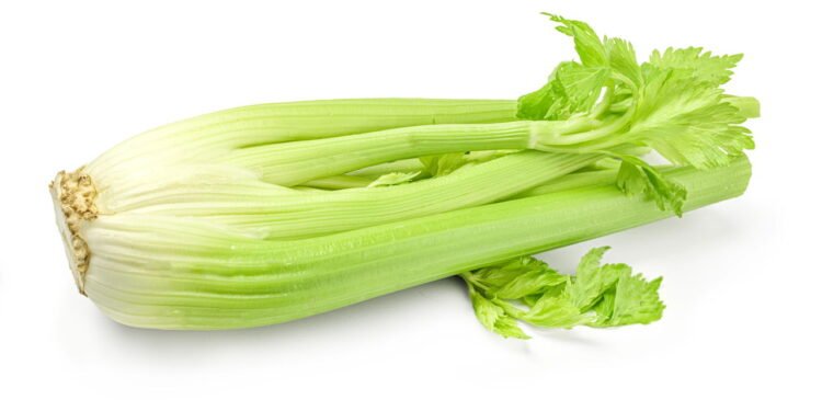 Propriedade diurética que auxilia na eliminação de toxinas - Créditos: depositphotos.com / Stop war in Ukraine!