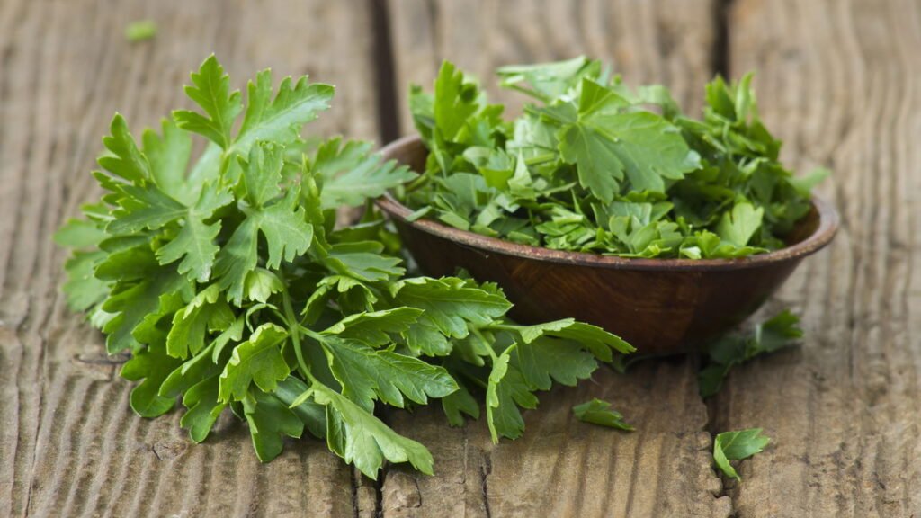 Como montar sua horta perfumada de ervas aromáticas em casa