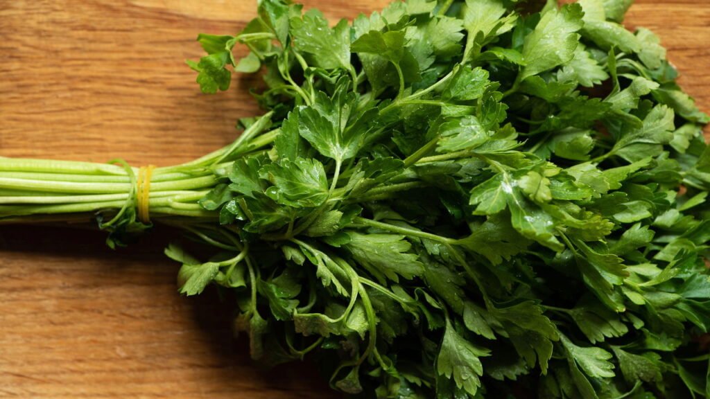 Melhores plantas para cultivar com salsinha e como isso ajuda na horta