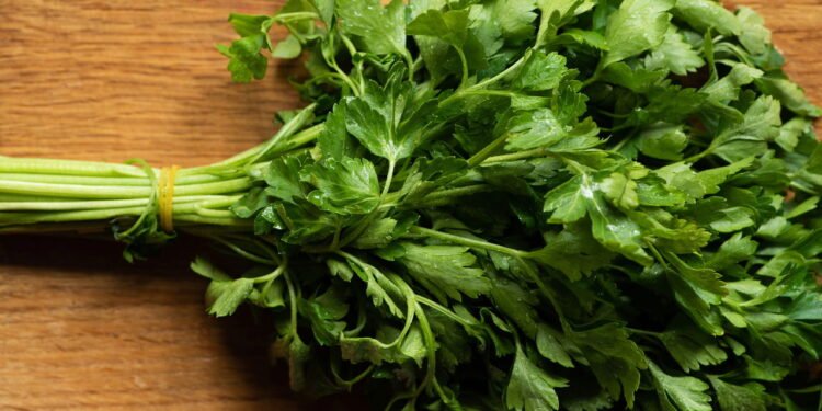 Melhores plantas para cultivar com salsinha e como isso ajuda na horta