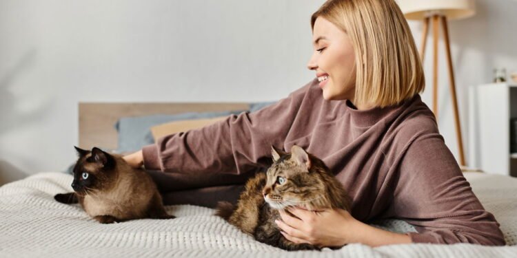 O que o seu gato realmente pensa de você?