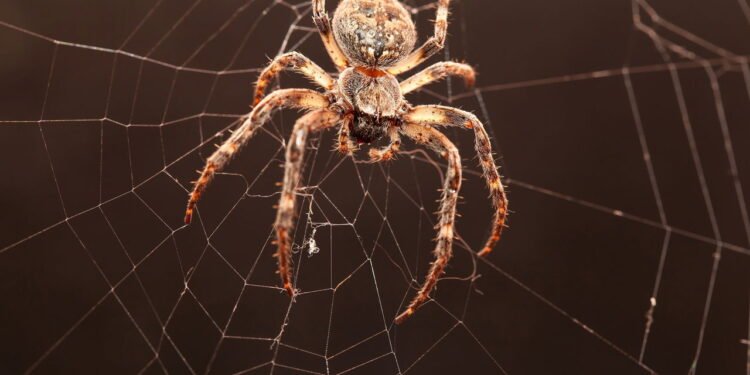 Créditos: depositphotos.com / feedough