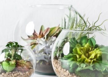 Faça um mini jardim no vidro com poucos materiais e sem gastar muito