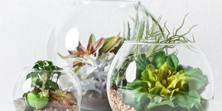 Terrário - Créditos: depositphotos.com / Milkos