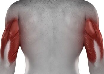 Os 5 melhores exercícios para fortalecer os tríceps e melhorar a força dos braços em casa (sem equipamentos)