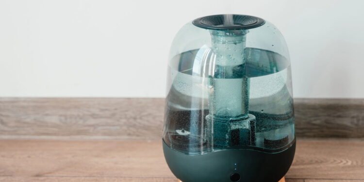 Veja dicas de como evitar danificar o umidificador em casa