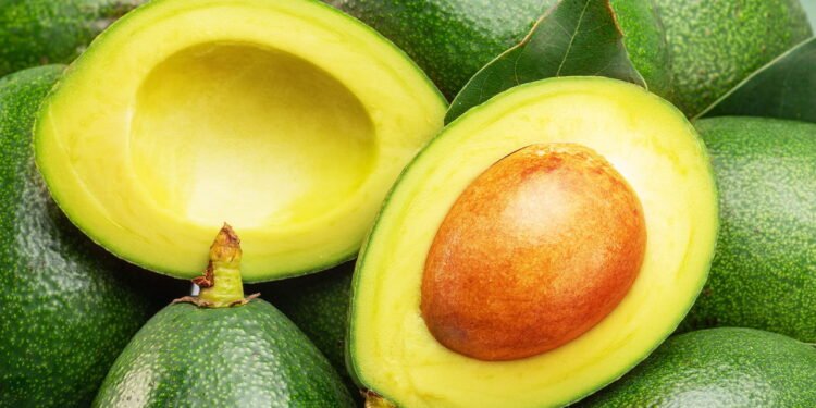 Abacate // Créditos: depositphotos.com / perfectfood78.gmail.com