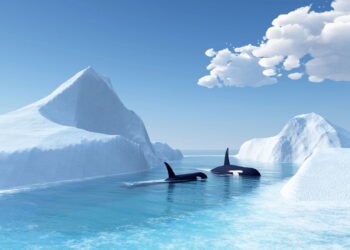 Estas montanhas escondidas há 500 milhões de anos intriganam cientistas