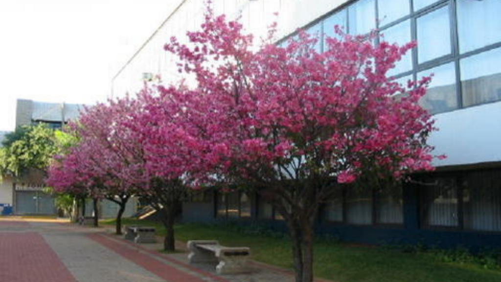 Essa cidade surpreende com seu potencial industrial e qualidade de vida