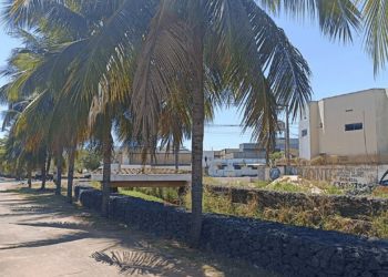 Essa cidade do Tocantins une economia forte, educação e vida tranquila