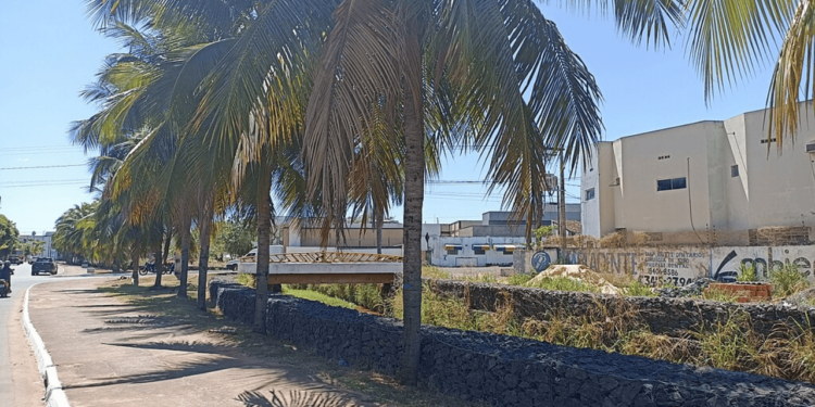 Essa cidade do Tocantins une economia forte, educação e vida tranquila