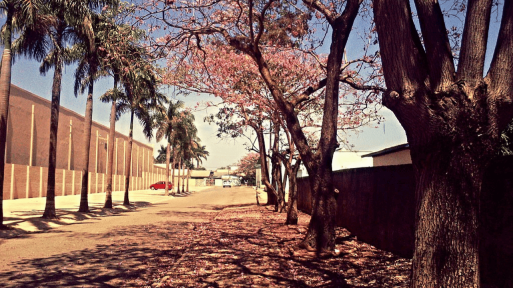 Essa cidade do Norte combina agroindústria forte, educação e tranquilidade