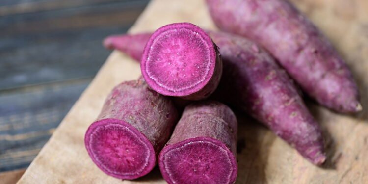 Aprenda a plantar batata-doce roxa em casa de forma fácil e econômica