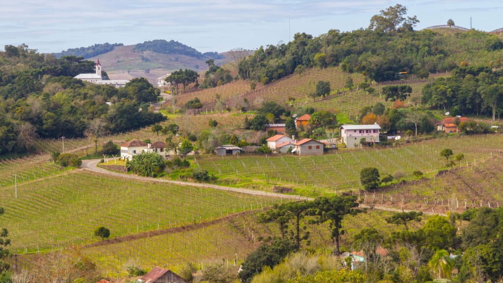 Descubra a cidade gaúcha cercada por vinícolas e com clima europeu o ano todo