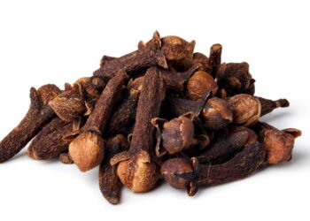 Cravo-da-Índia é bom para saúde? Veja como e quando usar