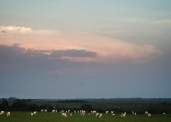 Essa cidade do Centro-Oeste une agronegócio, educação e qualidade de vida