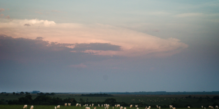 Essa cidade do Centro-Oeste une agronegócio, educação e qualidade de vida