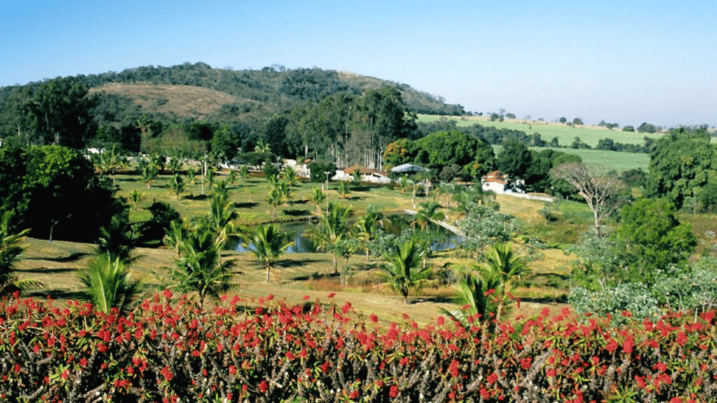 Essa cidade surpreende com praias, cultura forte e vida estruturada