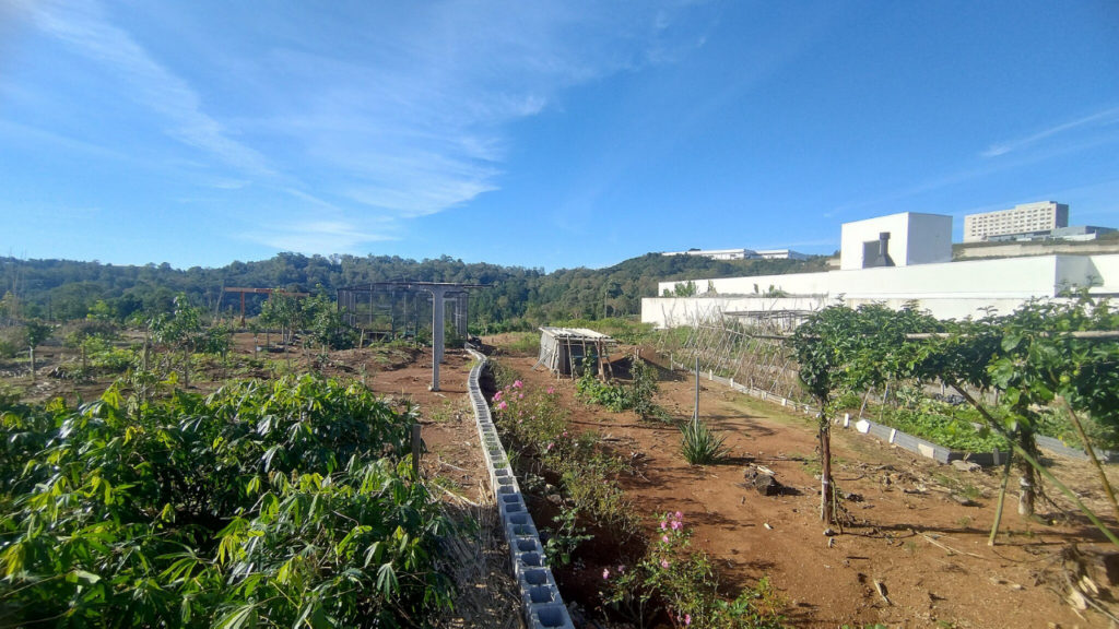 O destino perfeito para viver bem e apreciar o melhor da Serra Gaúcha