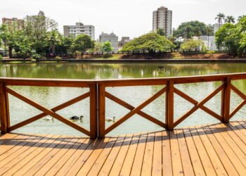 Essa cidade encanta com sua economia e qualidade de vida no Brasil