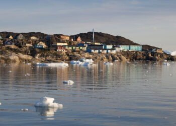 Essa habilidade do tubarão-da-Groenlândia vai te surpreender